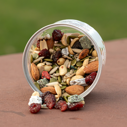 Natur-E-Scape Protein Rich 6 in 1 Classic Dry Fruit Mix (100g)